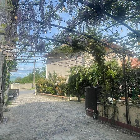 Luxury House Teodora Villa Deva Ngoại thất bức ảnh