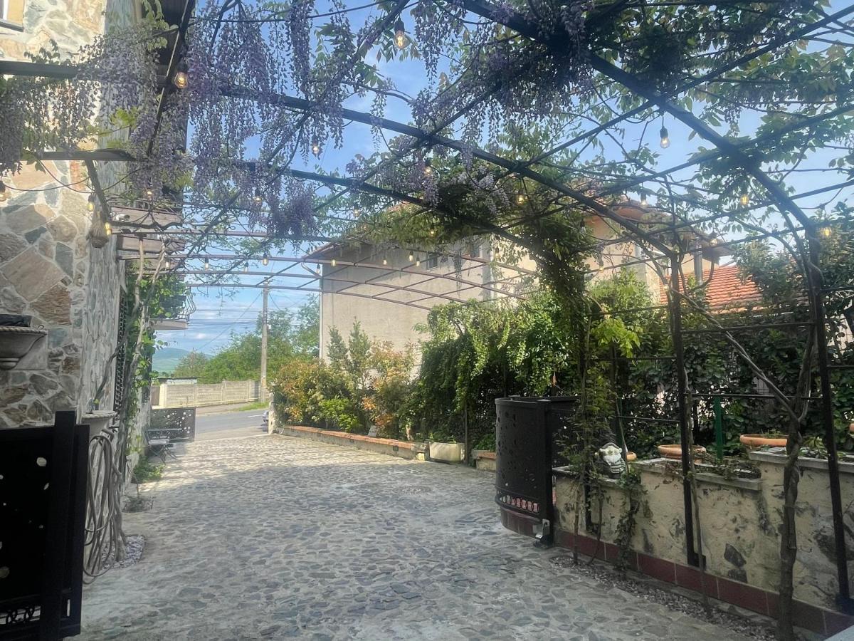 Luxury House Teodora Villa Deva Ngoại thất bức ảnh